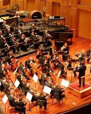 Salute To Vienna New Year's Concert Sarasota