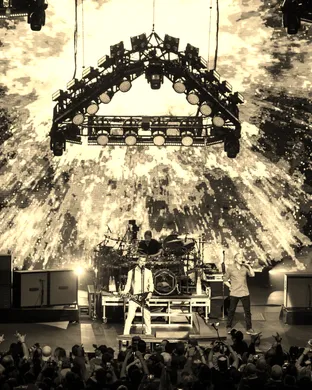 311 Tampa