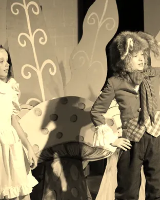 Alice In Wonderland Jr Bradenton