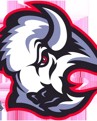 Buffalo Sabres Tampa
