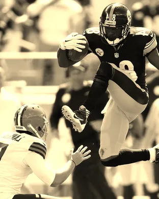 Cleveland Browns Tampa