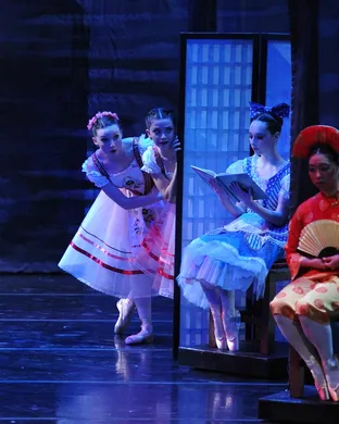 Coppelia Lakeland