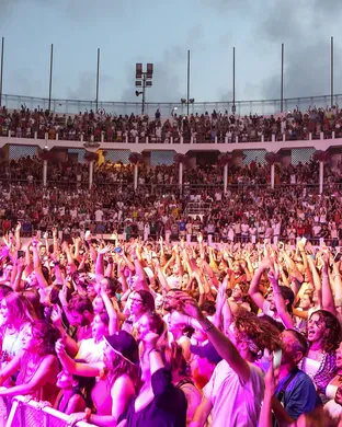 Dax Tampa