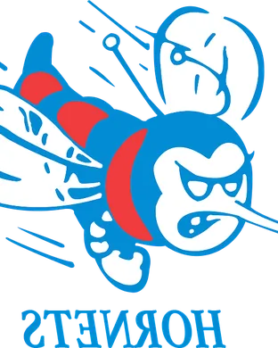 Delaware State Hornets Tampa