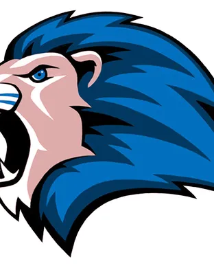 Detroit Lions Detroit