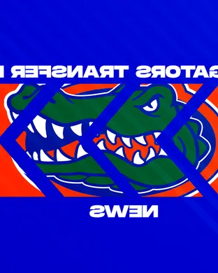 Florida Gators Tampa