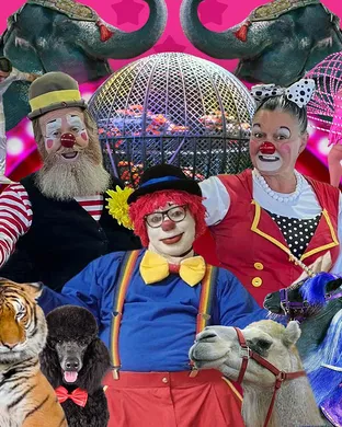 Loomis Bros. Circus Sarasota
