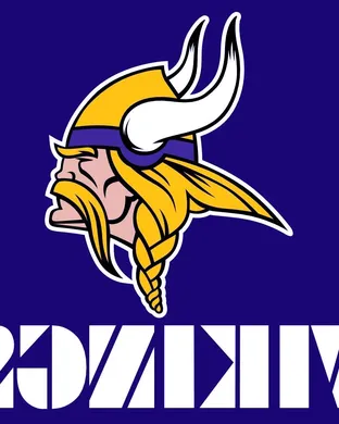 Minnesota Vikings Tampa