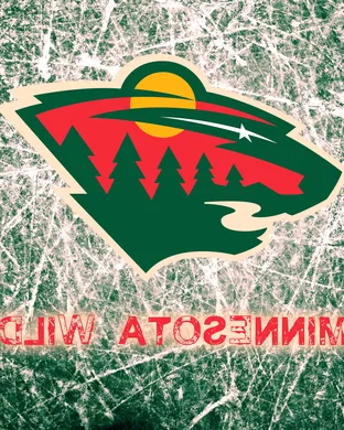 Minnesota Wild Saint Paul