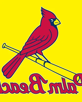 Palm Beach Cardinals Tampa