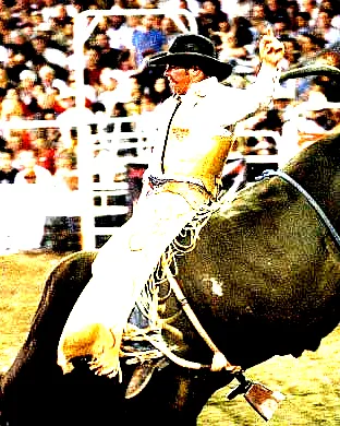 Pbr - Professional Bull Riders Tampa
