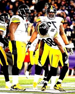 Pittsburgh Steelers Tampa