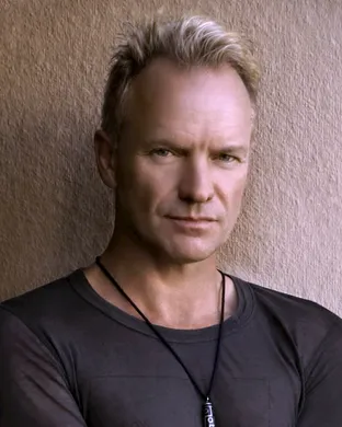 Sting Tampa