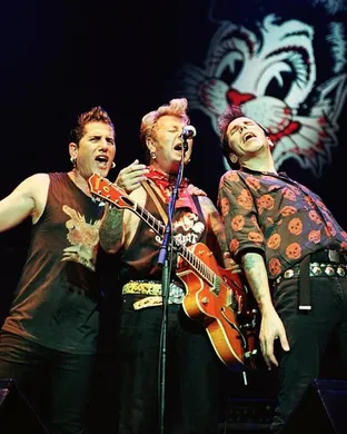 Stray Cats Clearwater