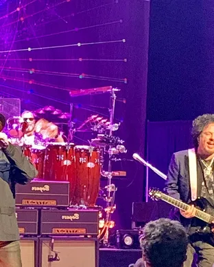 Toto Tampa