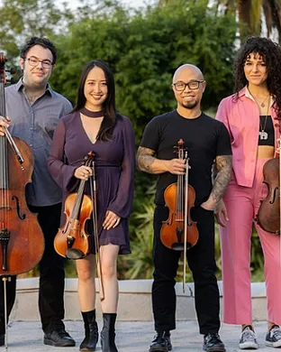 Vitamin String Quartet Tampa