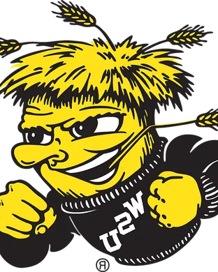 Wichita State Shockers Baseball Tampa
