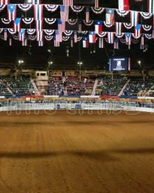 Manatee Pro Rodeo Palmetto