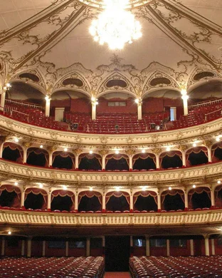Opera Tampa Tampa
